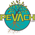 Pevach Corp